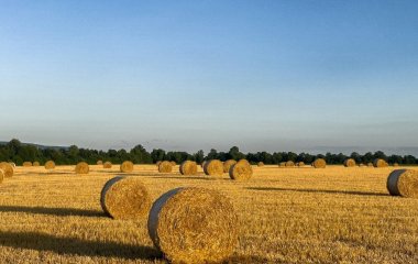 День ангела 26 серпня: кого та як вітати з іменинами