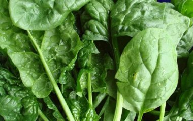 Названо продукти, які запобігають старінню