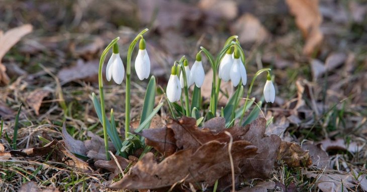 День ангела 5 березня: кого та як вітати з іменинами