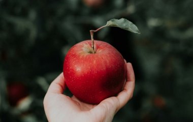 Спалюють зайвий жир та контролюють апетит: їжте ці п'ять фруктів та ягід і худніть