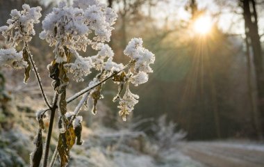 День ангела 30 грудня: кого та як вітати з іменинами