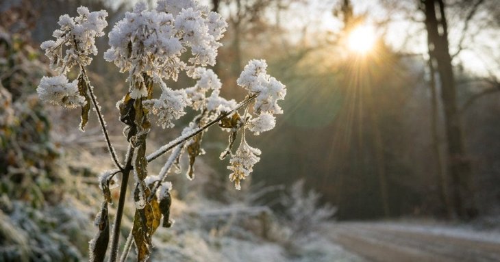 День ангела 30 грудня: кого та як вітати з іменинами