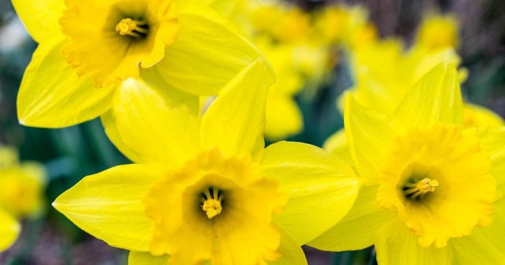 День ангела 5 квітня: кого та як вітати з іменинами