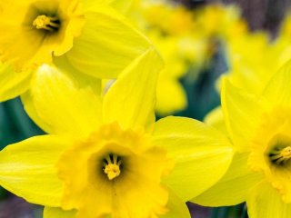 День ангела 5 квітня: кого та як вітати з іменинами