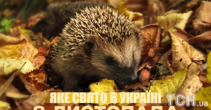 Яке завтра, 8 листопада, свято — все про цей день, яке церковне свято, що не можна робити