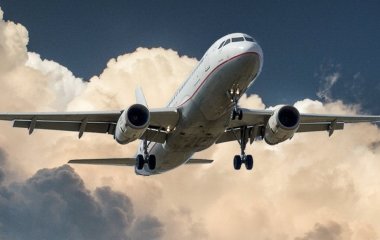 Пасажирка подала до суду на авіалінії через соус до пельменів — що відповіли в компанії