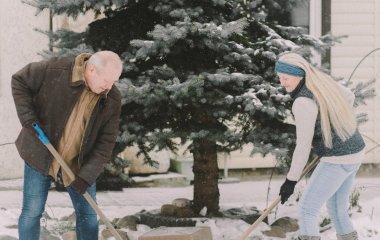 Місячний посівний календар на січень: коли сіяти розсаду томатів, перцю, баклажанів 2026 року