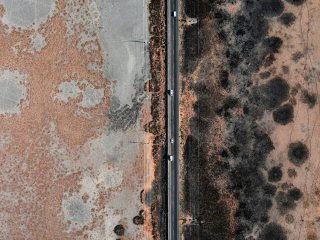 Як безпечно та ефективно позбутися плісняви на стінах і стелі в квартирі