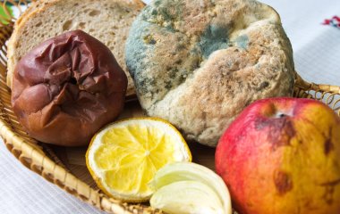Експерти розповіли про вплив цвілевих продуктів на організм людини