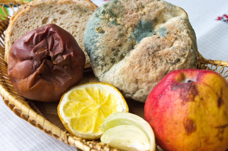 Експерти розповіли про вплив цвілевих продуктів на організм людини