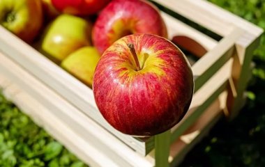 З користю здоров'ю. Десять цікавих фактів про яблука