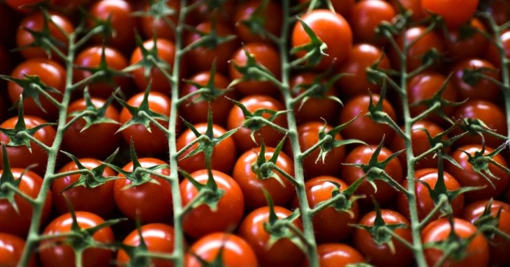 Їх їдять люди, які доживають до 100 років: 5 продуктів для довголіття