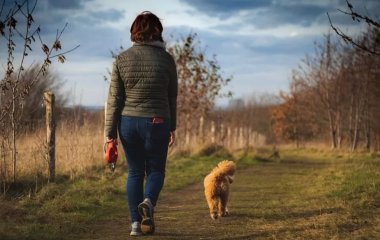 Як підтримати організм і зміцнити імунітет навесні: 6 порад