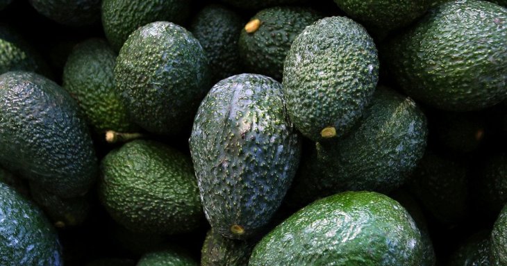Корисних жирів більше, ніж в авокадо: 8 продуктів, які варто додати до раціону