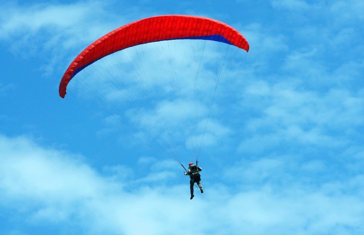 Новый хит: парашютисту в небе на руку села птица (ВИДЕО)