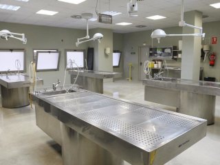 Малюка оголосили мертвим і залишили в морзі: через п’ять годин сталося неймовірне