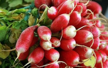 Вчені розповіли про користь редис у боротьбі з раком