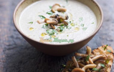 Рецепты приготовления легких супов на основе белых грибов с овощами