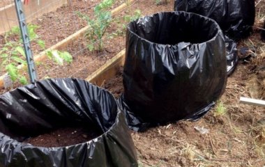 Як швидко зробити компост в домашніх умовах: перегній з опалого листя за місяць
