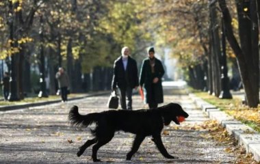 Дієтолог назвав два способи скинути зайву вагу восени