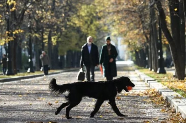 Дієтолог назвав два способи скинути зайву вагу восени