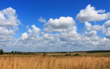 Чому всі говорять фразу 