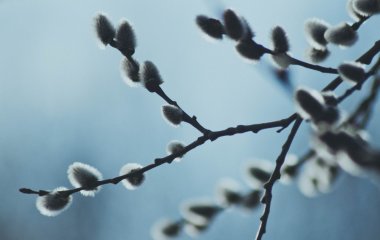 Церковний календар на березень 2025 року: коли святкуємо Благовіщення і починається Великий піст
