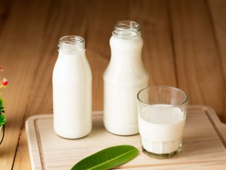 Что будет с организмом, если каждый день употреблять кефир