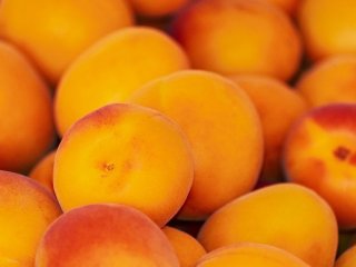Без цукру і зайвих калорій: як заготовити абрикоси на зиму — топ-3 легких рецепти