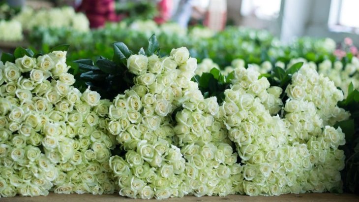 Як “продовжити життя” букетам зрізаних троянд