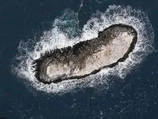 Географічне відкриття у 2026 році: Науковці знайшли суходід, якого не було на жодній карті
