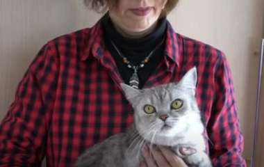 Сети насмешил кот, которому не понравилось у ветеринара (ВИДЕО)