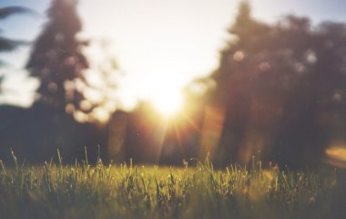 Вчені попередили про небезпеку для очей при нестачі вітаміну D