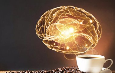 Вчені з'ясували, як змінюється мозок у любителів кави