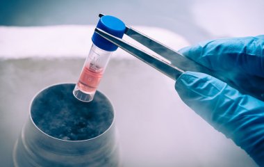 Вчені створили новий каркас для вирощування тканин із стовбурових клітин