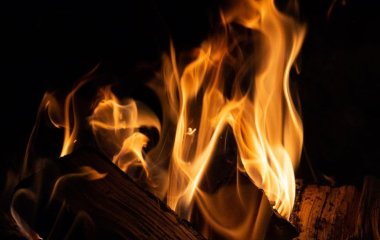 Топ-3 породи дров, які гріють вдвічі сильніше і довше: поради експертів