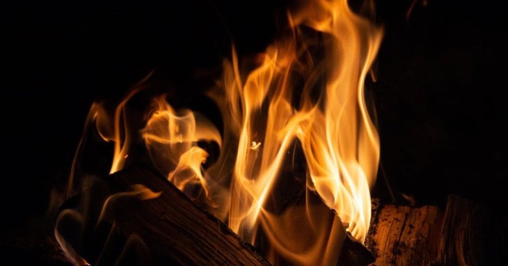Топ-3 породи дров, які гріють вдвічі сильніше і довше: поради експертів