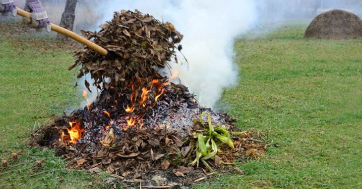 Чи можна на своєму подвір’ї, городі спалювати гілки, рослинність, сміття: що каже закон, які штрафи