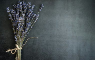 Духовне значення лаванди: що означає ця квітка, від чого вона оберігає