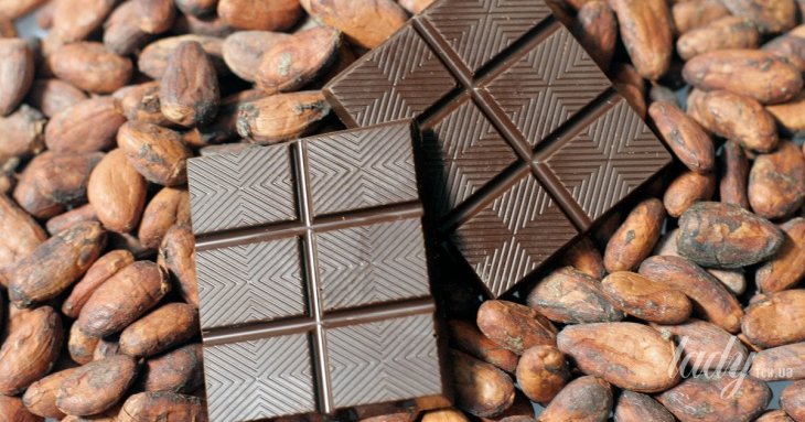 Чим замінити темний шоколад: 9 продуктів із високим вмістом магнію