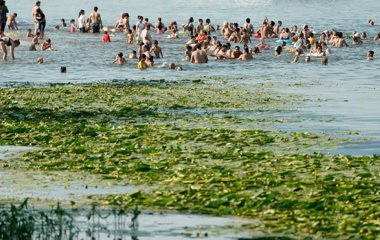 Лікар розповів про хвороби через купання у забруднених водоймах