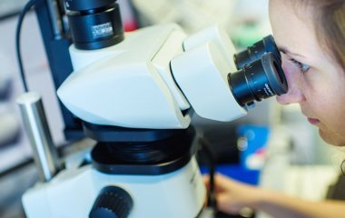 Математика шлунка: вчені зрозуміли, як порахувати корисні бактерії