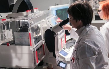 Вчені з'ясували, що допомагає серцю пережити нестачу кисню