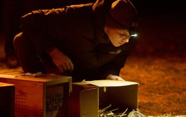 У природу повертають вид, який вважали вимерлим: що це за тварина (фото)