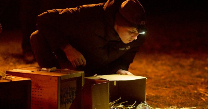 У природу повертають вид, який вважали вимерлим: що це за тварина (фото)