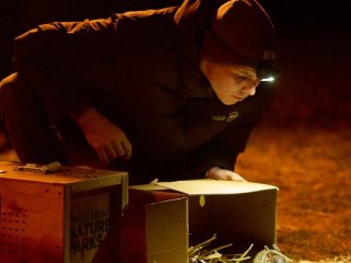 У природу повертають вид, який вважали вимерлим: що це за тварина (фото)