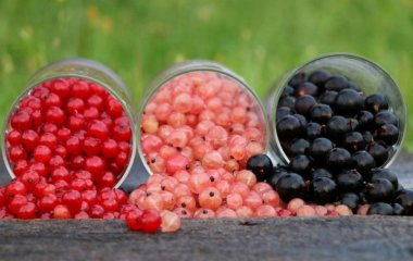 Медики назвали продукт, который может быстро снизить гипертонию