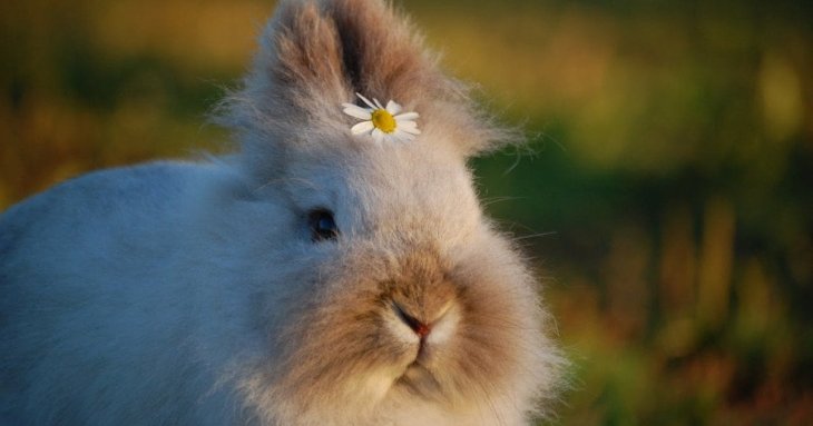 День ангела 26 квітня: кого та як вітати з іменинами