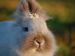 День ангела 26 квітня: кого та як вітати з іменинами