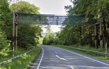 Міст, який бентежив водіїв 13 років: виявилося, що він зовсім не для людей